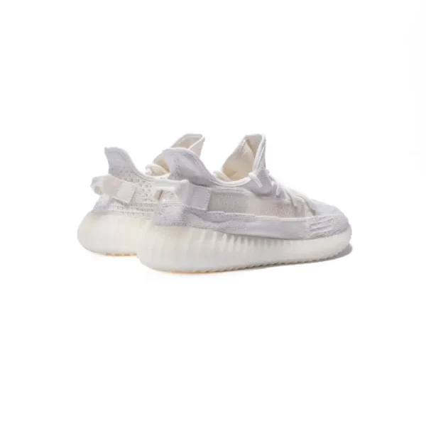 Yeezy Boost 350 v2 Bone - Image 5